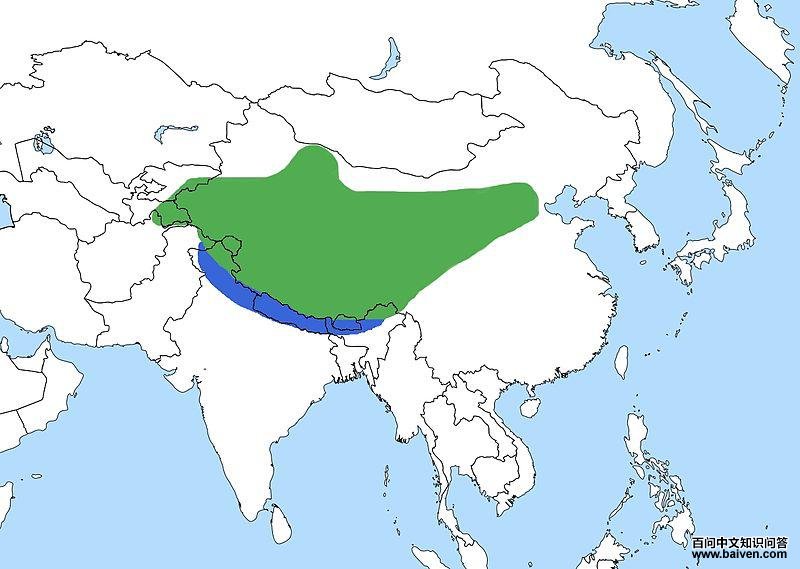 �q���֣������ֲ�ͼ