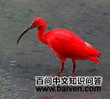 �����q��