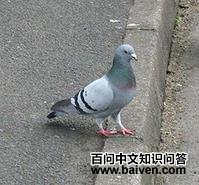 ��β���ͼƬ