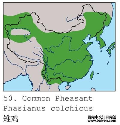 �������������ֲ�ͼ