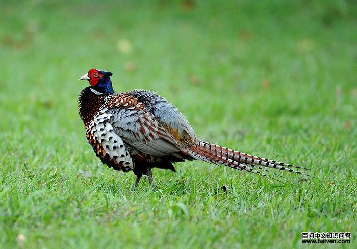 һ��������ʦ�ĵ�����̨������