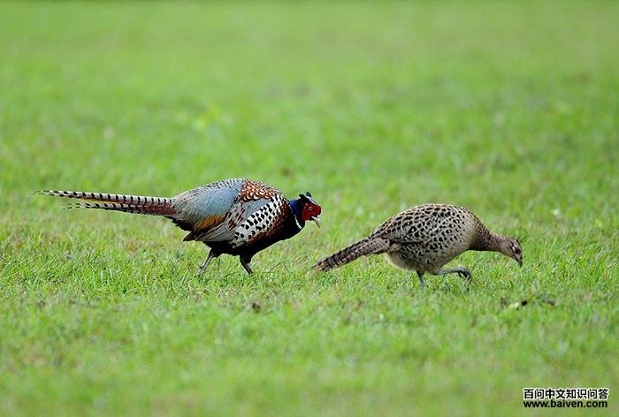 һ��������ʦ�ĵ�����̨������