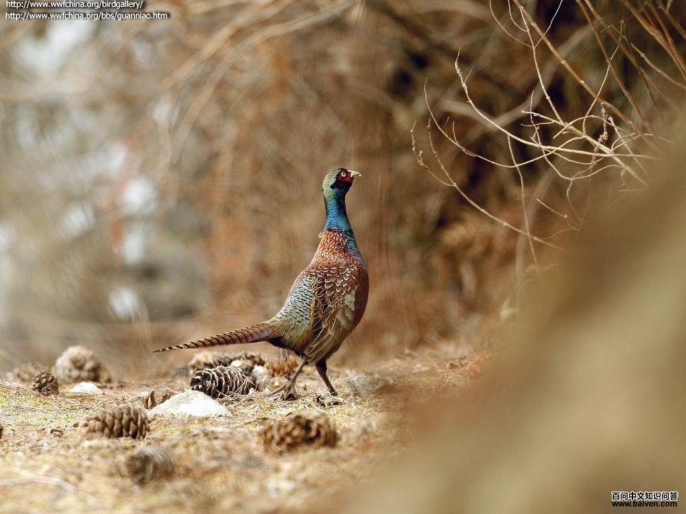 ���ͺ�����ʦ���Ĵ������ĵ�������������