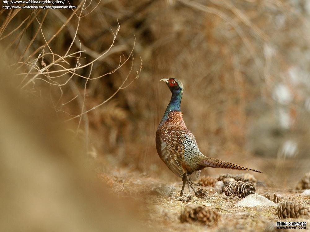 ���ͺ�����ʦ���Ĵ������ĵ�������������