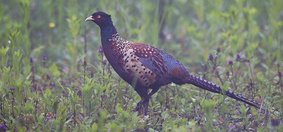 ������ʦ�ڹ����ĵ�������������