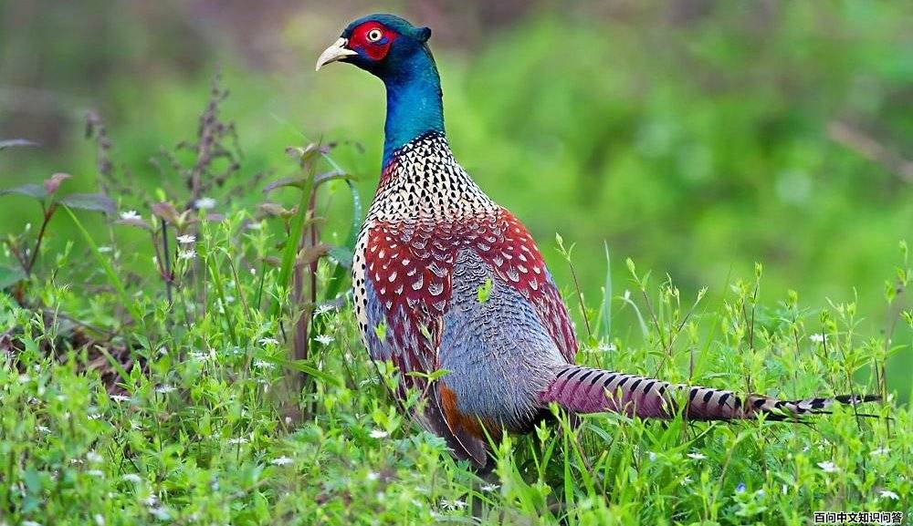 GY���Ƹ���ʦ�ڹ��ݿ���ˮ�ĵ������������֡�