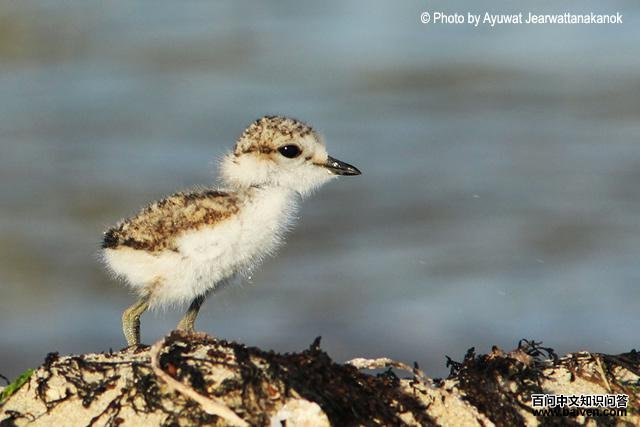 �����a������