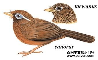 ��ü����̬����ͼ