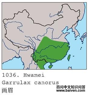 ��ü�������ֲ�ͼ