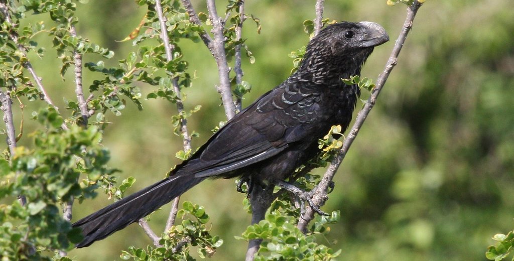 ����Ϭ���ͼƬ