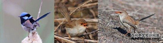 ����ϸβ��ݺ