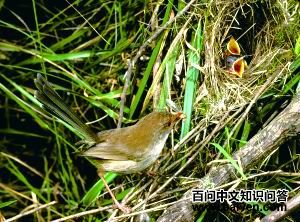 ����ϸβ��ݺ