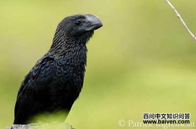 ����Ϭ��