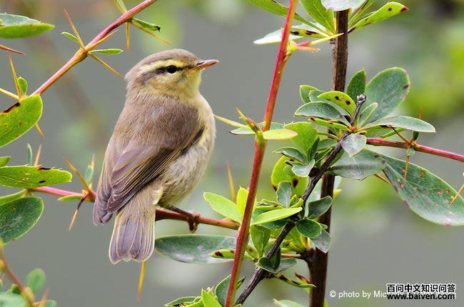 ������ݺ�������ຣ