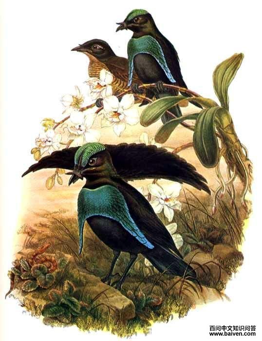 ������������̬����ͼ