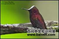 �׶�����