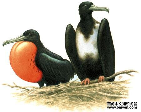 ������������̬����ͼ