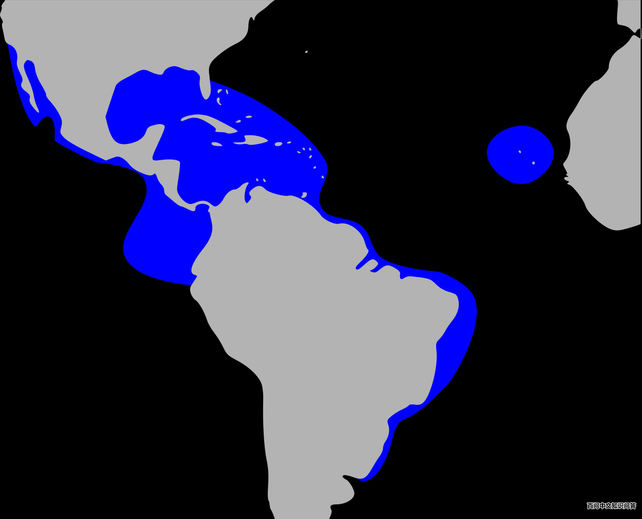 ���������񣺵����ֲ�ͼ