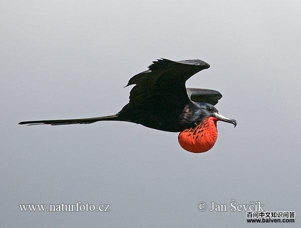 �����������ͼƬ