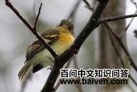 �����߳���l��ͼƬ