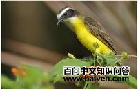 �������l