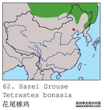 ��β黼������ֲ�ͼ