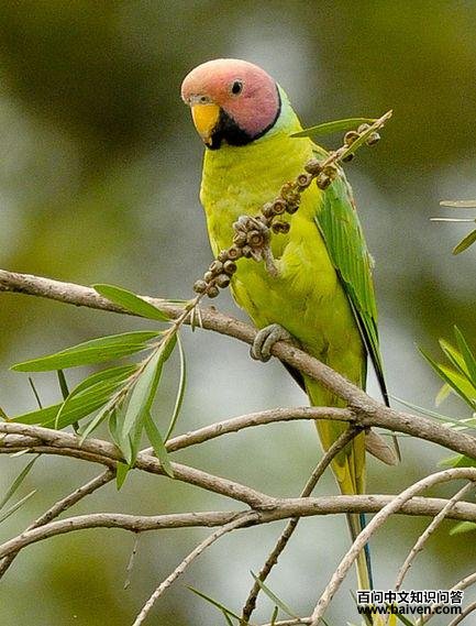 ��ͷ���ĵ�ͼƬ