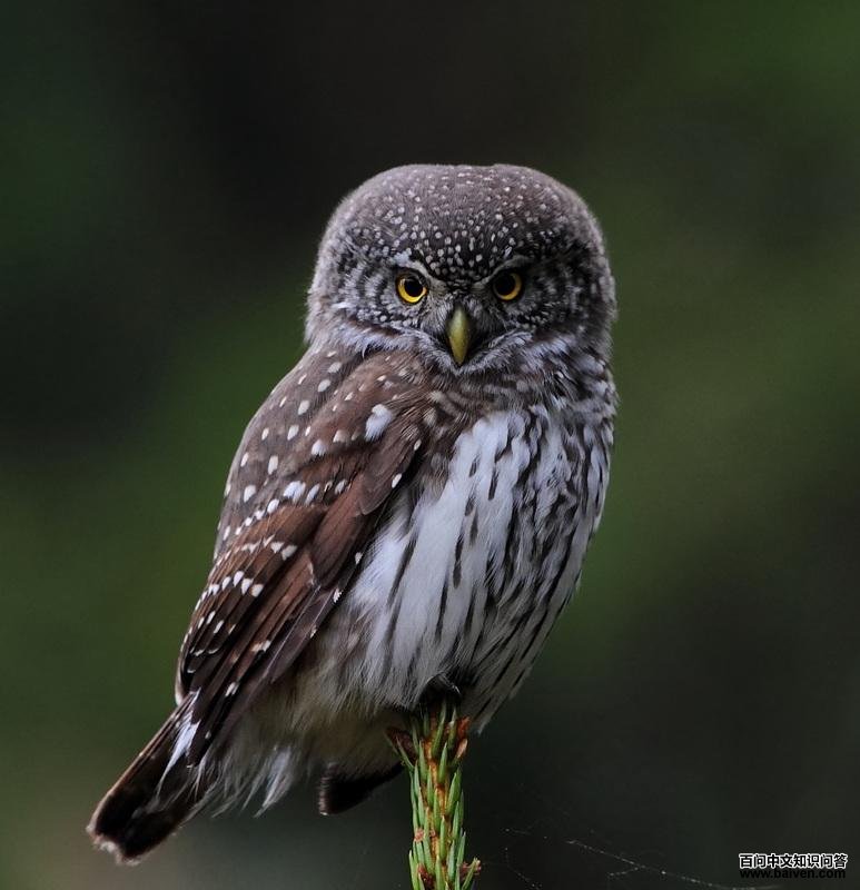 ��ͷ��m��ͼƬ