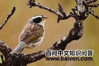 ����ȸ��