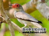 ������̩���l