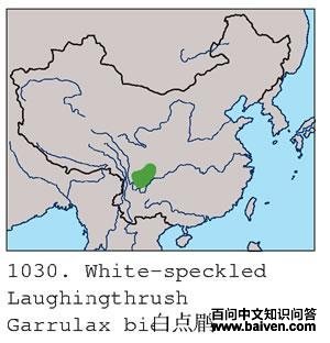 �׵�����