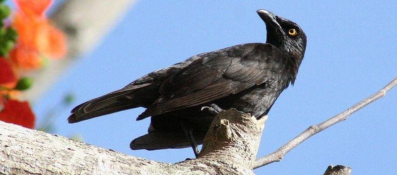 ��������ͼƬ