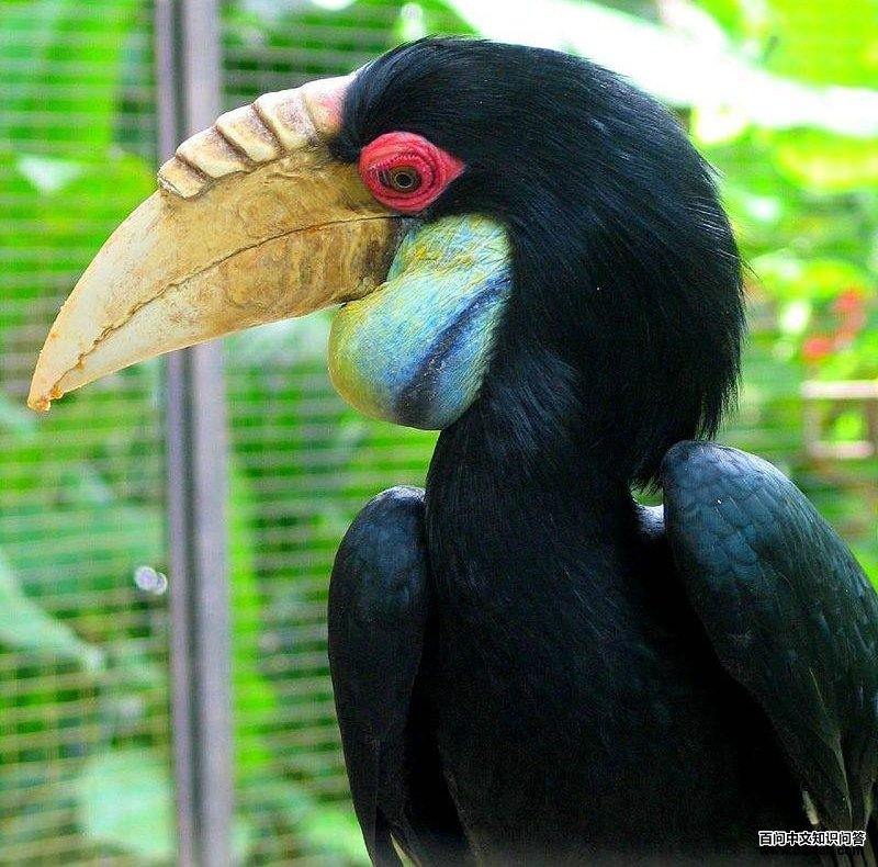 �������Ϭ������ͼƬ