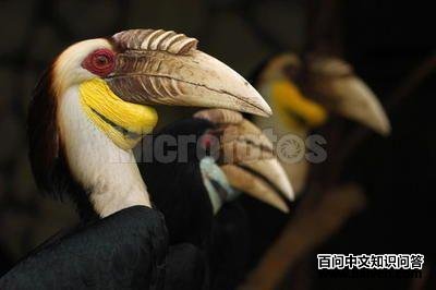 �������Ϭ����