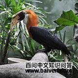 �������Ϭ��