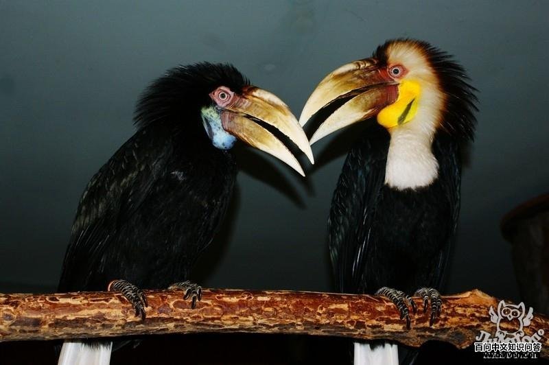 �������Ϭ���ͼƬ