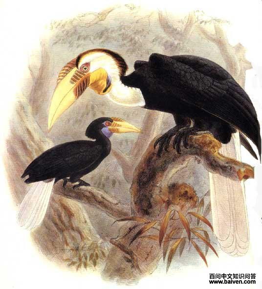 �������Ϭ��