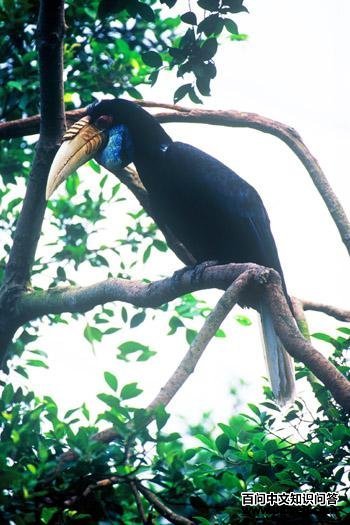 �������Ϭ��