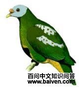 ���ǹ���ͼƬ