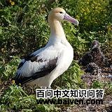 �����̿�