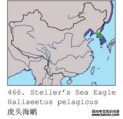 ��ͷ���񣺵����ֲ�ͼ