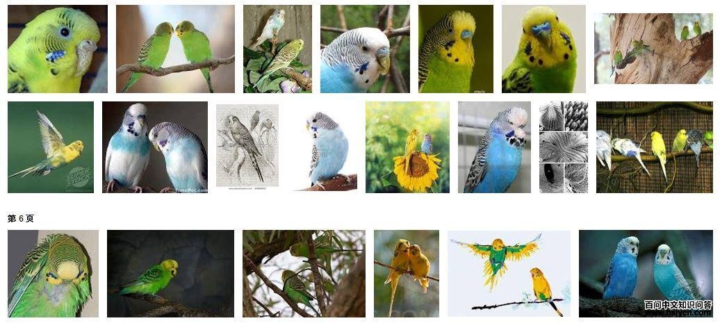 ��Ƥ������