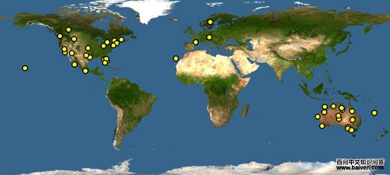 ��Ƥ������