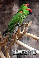 �����и�