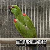 ������и�