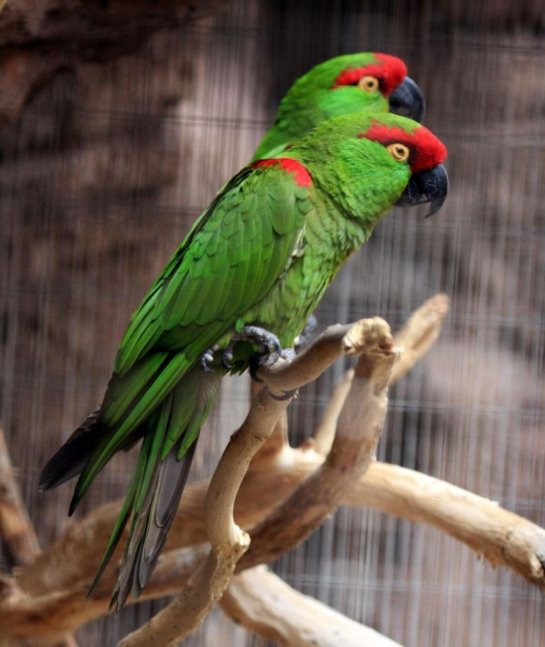 �����и��ͼƬ