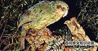 �����и�