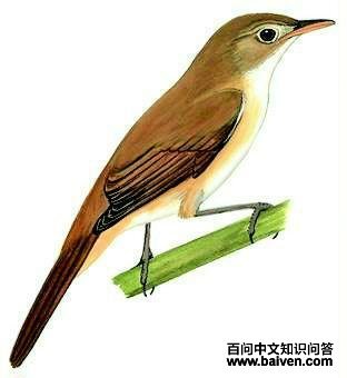 ����έݺ����̬����ͼ