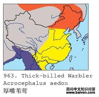 ����έݺ�������ֲ�ͼ