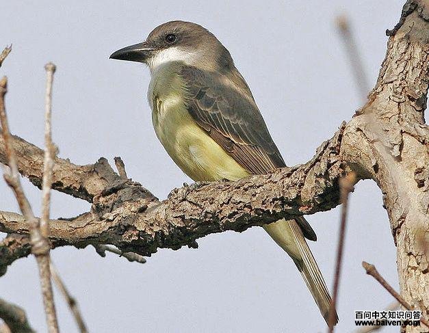 ���������l